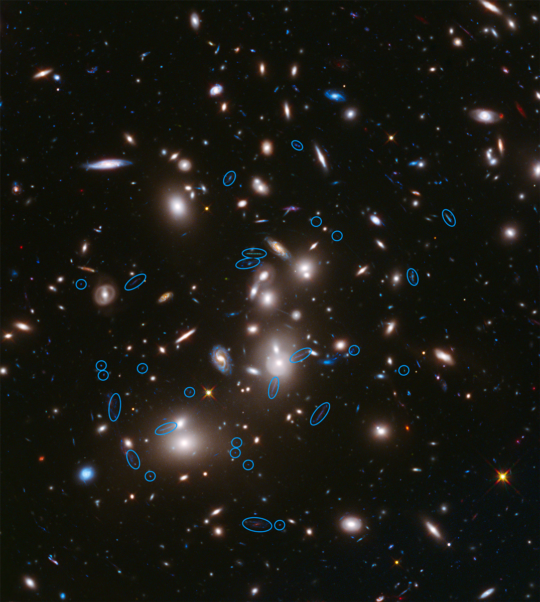 تصویر ۱: تصویر خوشه کهکشانی آبِل ۲۷۴۴، یکی از میدانهای مورد هدف پروژه میدانهای مرزی. کهکشانهای پرنور میانه تصویر، اعضای اصلی خوشه کهکشانی هستند. این کهکشانهای پرجرم، مانند یک عدسی، نور رسیده از کهکشانهای پشتشان را همگرا می‌کنند. اجرامی که دورشان خط آبی کشیده شده است، از جمله کهکشانهایی هستند که نورشان تحت تاثیر عدسی گرانشی قرار گرفته است. اگر دقت کنید، می‌بینید که شکل آنها کشیده شده است. در برنامه «میدانهای مرزی»، قرار است قدرت رصدی هابل و اسپیتزر، با این عدسی‌های کهکشانی عظیم ترکیب شود و به سراغ کشف دورترین مرزهای کیهان بروند. Credit: NASA, ESA, and R. Dupke (Eureka Scientific, Inc.), et al.
