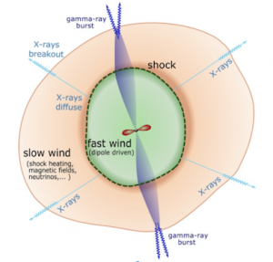 شکل ۲: نمای شماتیک سیاهچاله و قرص برافزایشی پس از تشکیل و بادهای کم سرعت و پر سرعت را پس از انبساط نشان می دهد. 