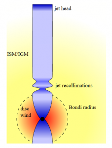 شکل ۱. تصویر نمایشی از موتور مرکزی یک هسته‌ی کهکشانی فعال. جت‌های که به رنگ آبی نشان داده شده‌اند در مقابل بادهای قرص برافزایشی که به رنگ قرمز نمایش داده شده‌اند، به تعادل می‌رسند. این جت‌ها در دو طرف به شکل هذلولی درمی‌آیند. خارج از این محدوده، با ماده‌ی میان‌ستاره‌ای و میان‌کهکشانی واکنش می‌دهند. جت‌ها درنهایت و بعد از دست‌وپنجه‌ نرم‌کردن با این تغییرات، به شکل استوانه‌ای درمی‌آیند. 