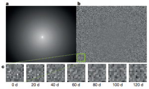 تصویر ۲: شبیه‌سازی تغییرات نوری پیکسل‌ها بر اثر وجود ستاره‌های متغیر بلنددوره. a: مدل درخشندگی سطحی کهکشان M87 است. b: شار نوری در زمان t=0 تقسیم بر میانگین شار نوری در طی هزار روز در هر پیکسل. c: تصاویر بزرگنمایی شده‌ از بخشی از تصویر b. به تغییرات نوری منسجم در هر یک از پیکسل‌ها دقت کنید.