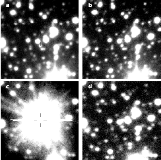 شکل ۲. تصویری از چرخه‌ی زندگی یک نواختر. a. نواخترها بیشتر زندگیشان، سیستم‌های کم‌نور با آهنگ انتقال جرم کمی هستند. b. ناپایداری قرص برافزایشی منجر به انفجارهای نواختر کوتوله می‌شود که مواد روی کوتوله‌ی سفید ریخته می‌شود. c. تصویر OGLE از می ۲۰۰۹ که ۱۶ روز بعد از کشف نواختر گرفته شده است. نواختر به شدت اشباع شده است. فوران نواختر باعث می‌شود که ستاره‌ی همراه با نرخ بیشتری ماده از دست دهد. d. تصویر باند I نواختر پرنور را بعد از انفجار نشان می‌دهد. 