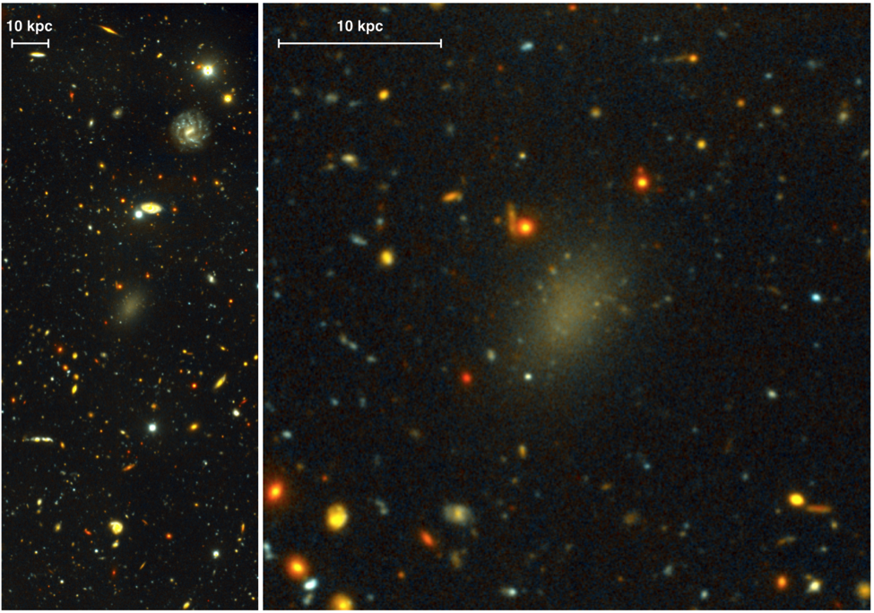 شکل ۱. سمت چپ: نمایی باز از خوشه‌ی کهکشانی کُما. سمت راست: نمایی بزرگ‌شده از مرکز تصویر سمت چپ که کهکشان پخشی Dragonfly 44 در مرکز آن دیده می‌شود.
