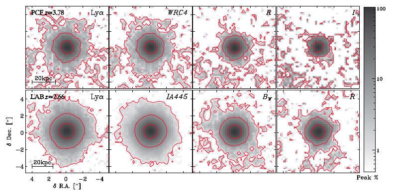 تصویر ۱: از چپ به راست، متوسط توزیع تابش لیمان-آلفا، تابش در فیلتر کم‌عرض، تابش در فیلتر عریض و حاوی لیمان-آلفا و تابش در فیلتر عریض بدون لیمان-آلفا را برای کهکشان‌های ستاره‌زا در ناحیه‌ی اول (در انتقال به سرخ ۳.۷۸، بالای تصویر) و ناحیه‌ی دوم (در انتقال به سرخ ۲.۶۶، پایین تصویر). 