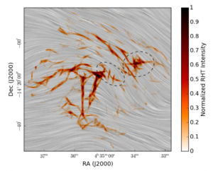 تصویر ۲: ساختار‌های استخراج شده از نقشه‌های شدتی هرشل(خطوط قهوه‌ای رنگ) در بستر جهت‌گیری میدان مغناطیسی(پس زمینه و شیارهای خاکستری رنگ).