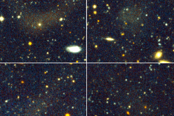 از گروه‌ها تا خوشه‌های کهکشانی: فراوانی کهکشان‌های به‌شدت‌پخشی