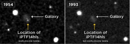 شکل 4: این تصویر از مساحی آسمان توسط رصدخانه‌ی پالمار در سال 1954 مکان انفجار را در موقعیت ابرنواختر iPTF14hls نشان می‌دهد (سمت چپ). ابرنواختر در تصویر سمت راست، که در سال 1993 گرفته شده است، دیده نمی‌شود. منبع: http://www.keckobservatory.org/recent/entry/LCO_supernova